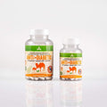 Camel milk powder supplement